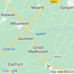 Metslawier-Zuid