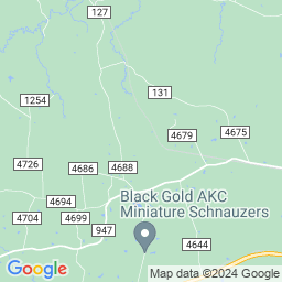 Carthage (Haynesville Shale) - Comstock